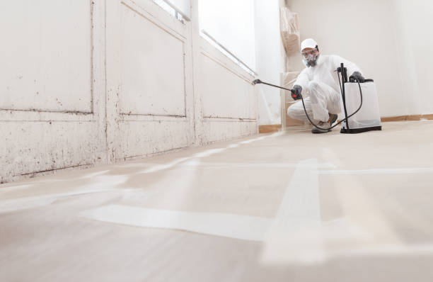 24/7 Emergency Black Mold Remediation experts in Greensboro, NC