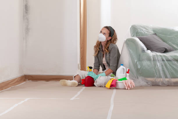 Reliable Black Mold Remediation contractor in Greensboro, NC by Mold Remediation HQ
